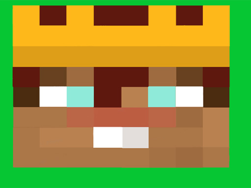 MINI RUN RACE cover